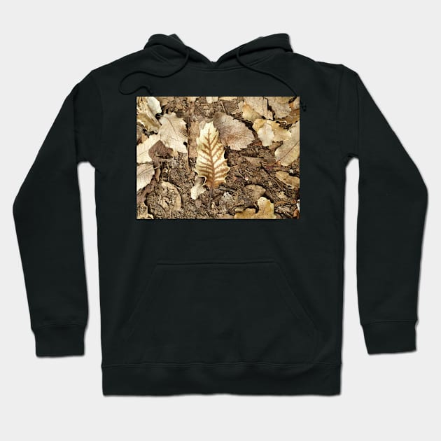 Brown Autumn Fall Leaves Background Hoodie by sigdesign